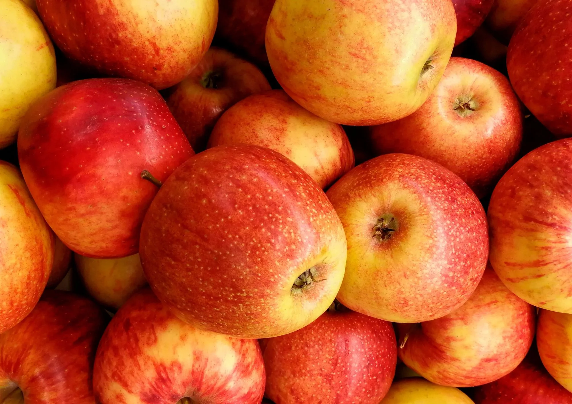 POMME BRAEBURN