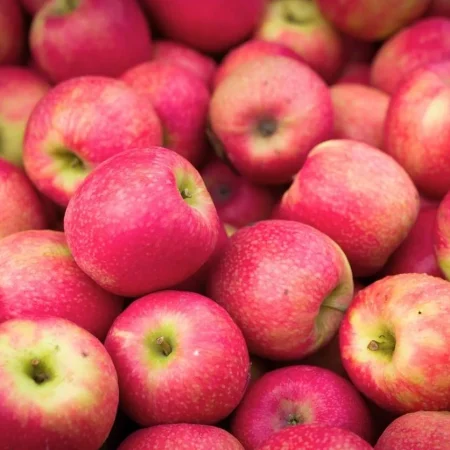 POMME DALINCLASS de nos vergers