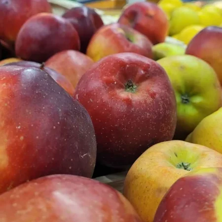 POMME MELROSE