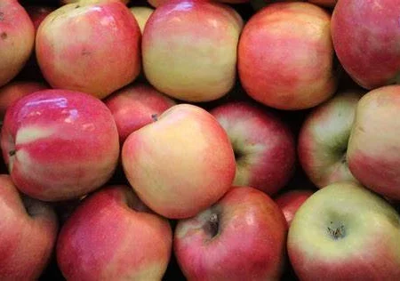 POMME PINK LADY