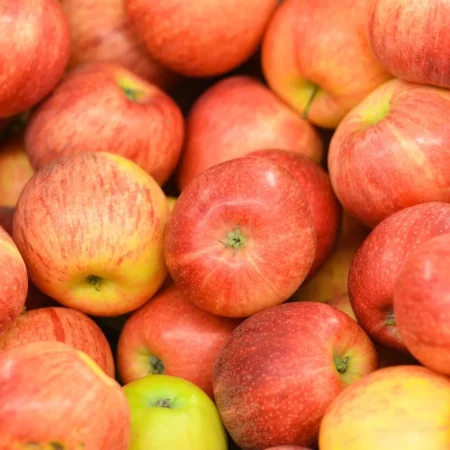 POMME REINE DES REINETTES