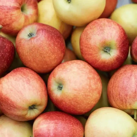 POMME ROYAL GALA 10KG