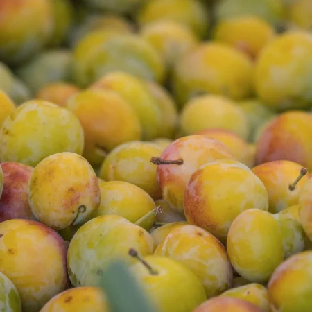 PRUNE MIRABELLE PANIER 1KG