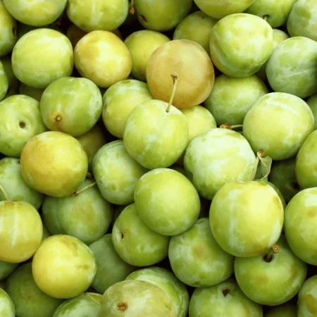 PRUNE REINE-CLAUDE 5KG