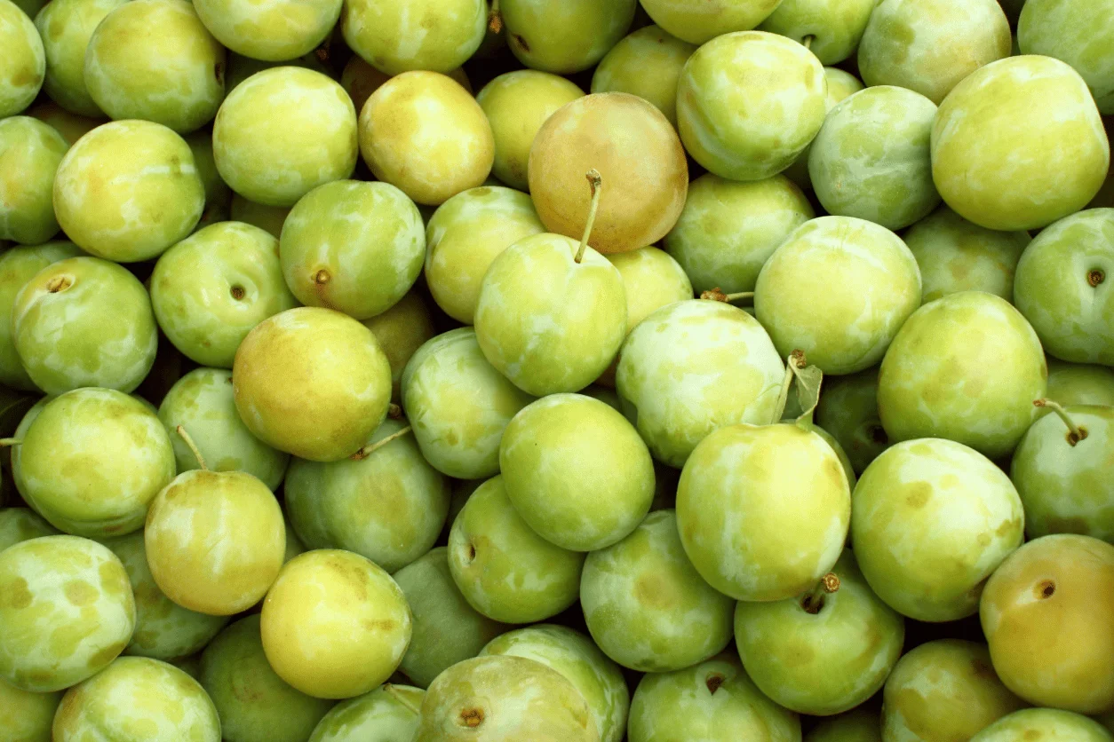 PRUNE REINE-CLAUDE 5KG
