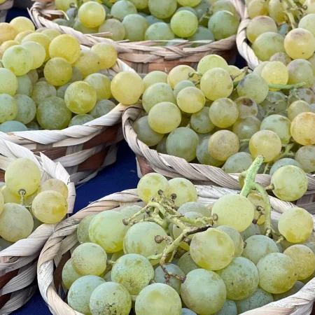 RAISIN MUSCAT BLANC