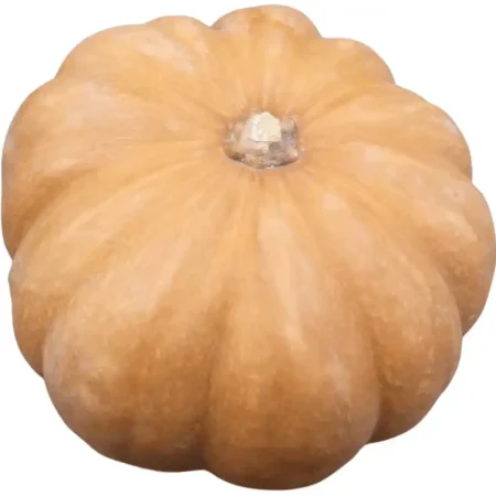 COURGE MUSCADE ENTIERE