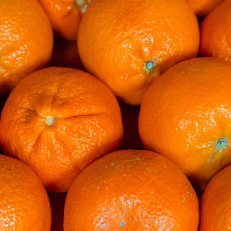MANDARINE    ORRI