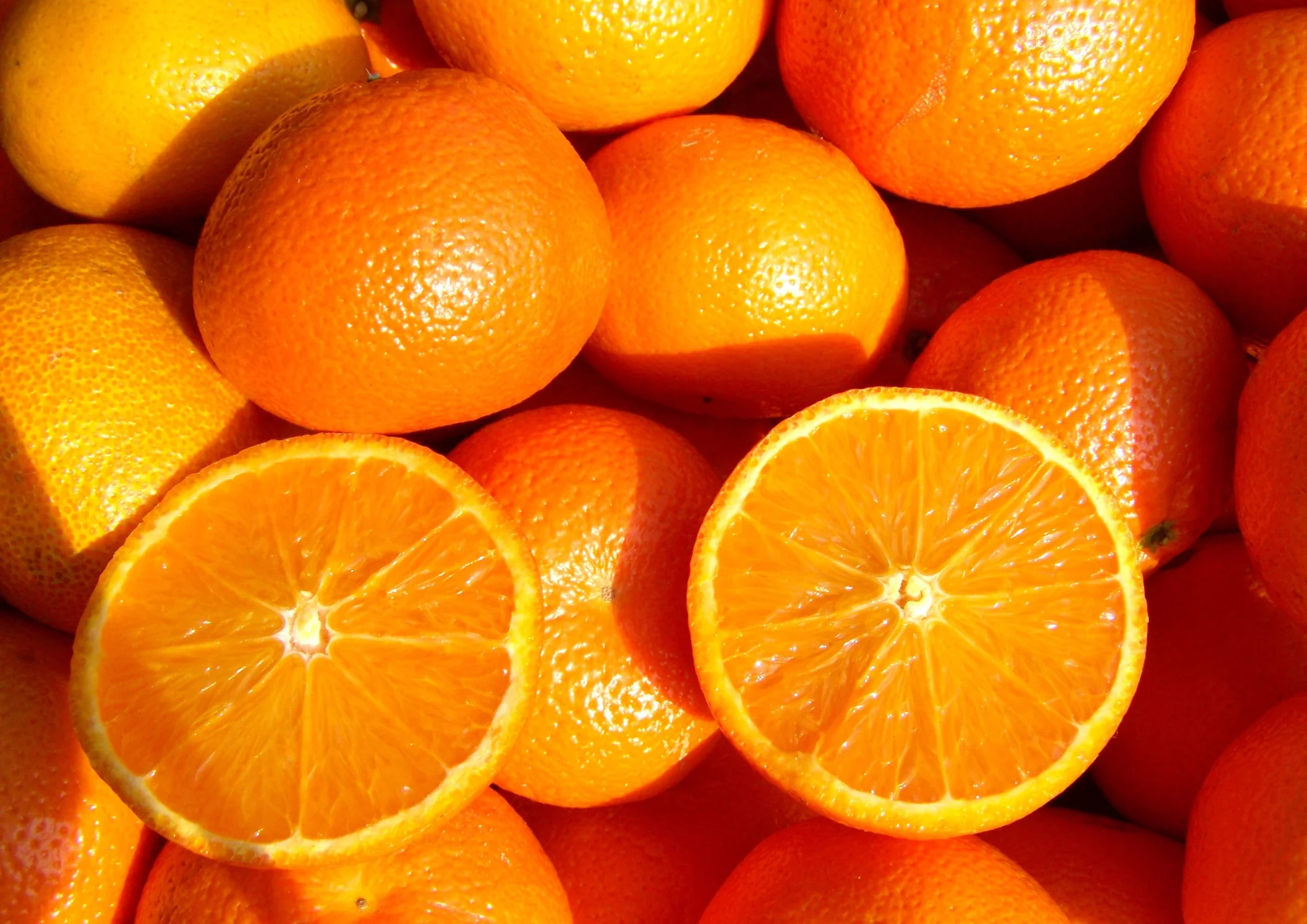 ORANGE CAMBRIA