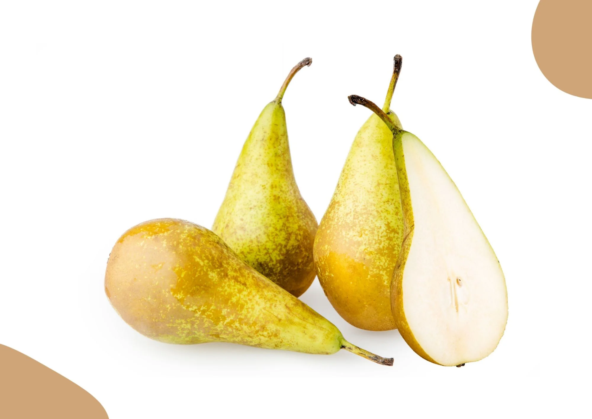 POIRE CONFERENCE