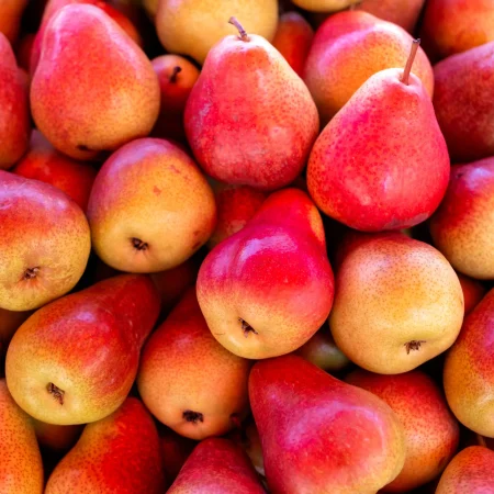 POIRE WILLIAM ROUGE