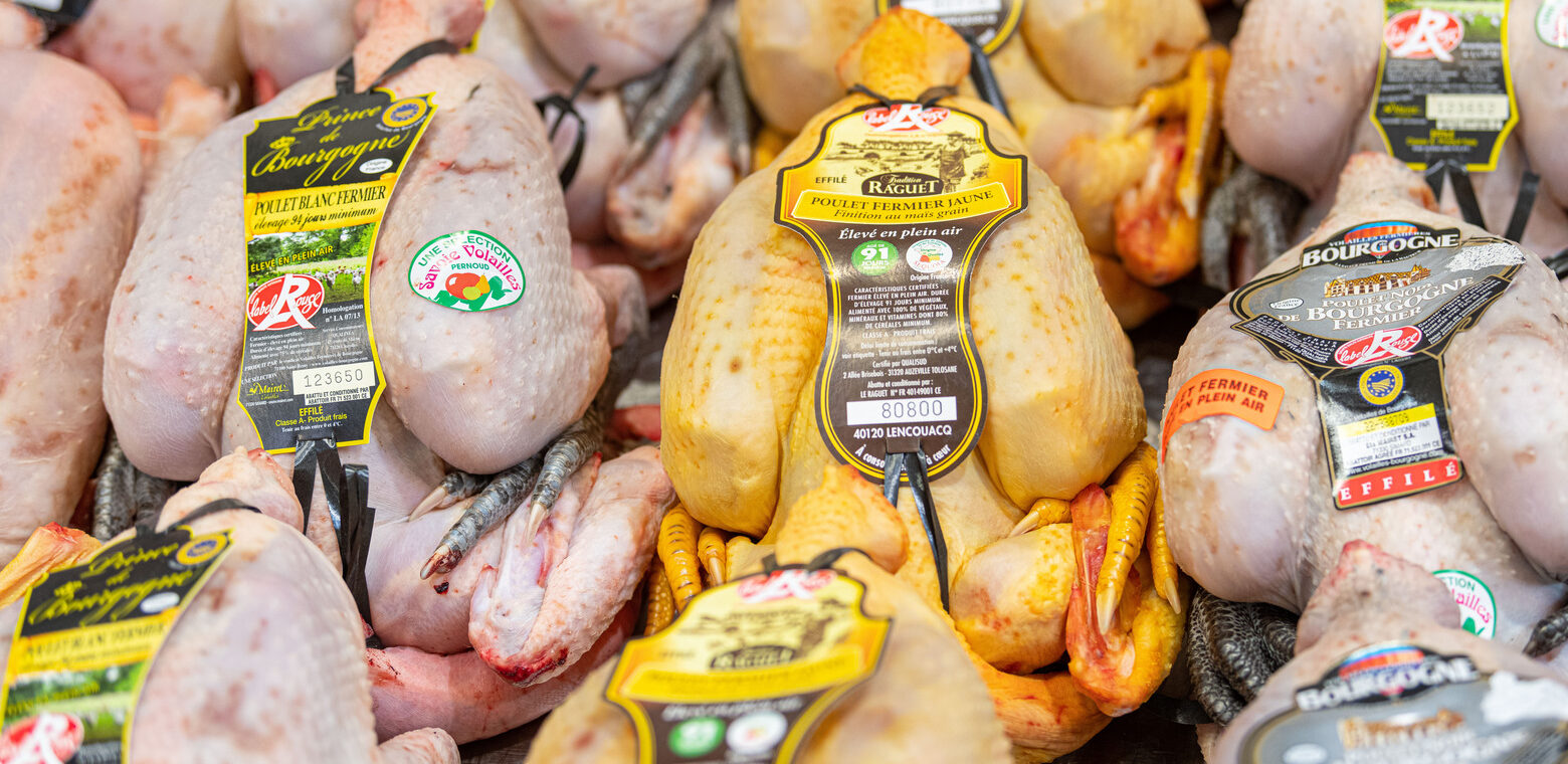 Poulets fermiers Label Rouge, élevés en plein air en Bourgogne, soigneusement disposés au Marché Pernoud, garantissant une qualité supérieure et une saveur authentique pour des repas sains et savoureux.