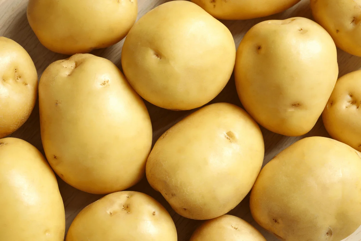 Pomme de terre AGATA 10KG Marché Pernoud