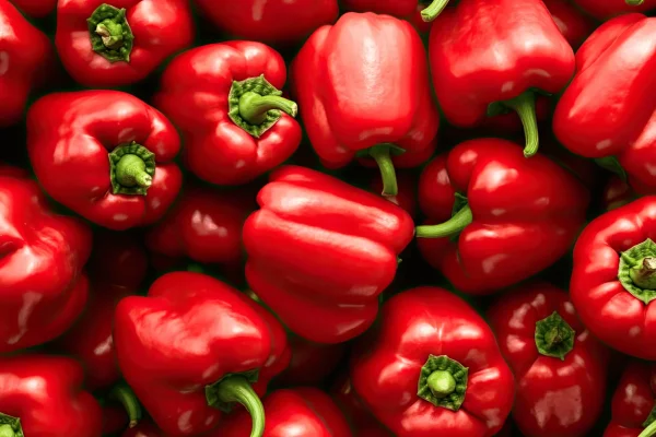 POIVRON ROUGE