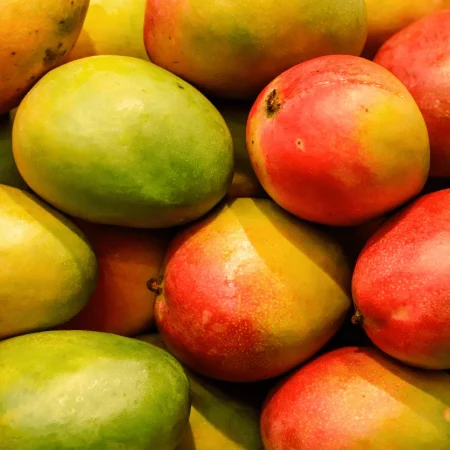 MANGUE AVION