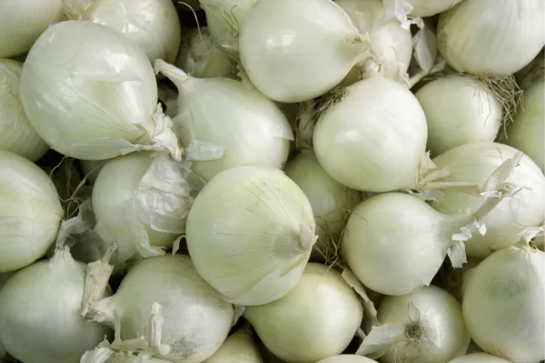 OIGNON BLANC