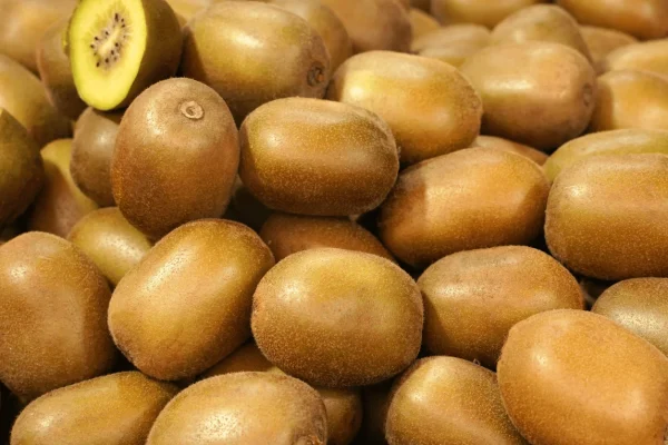 KIWI GOLD