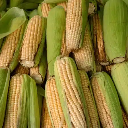 EPIS MAIS  400gr