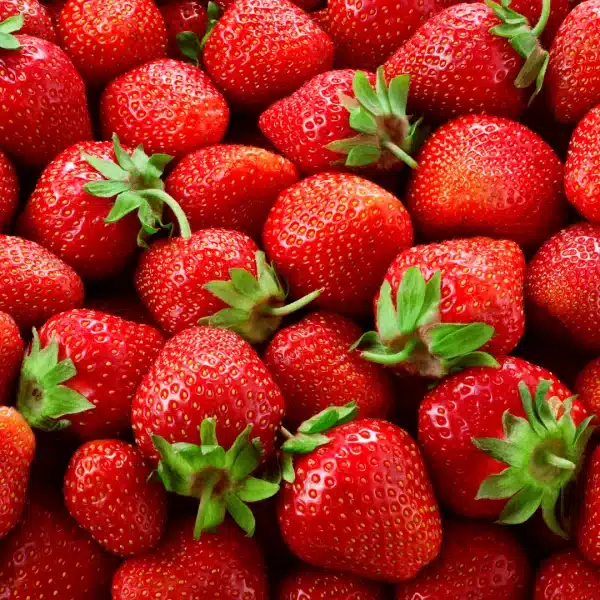 FRAISE DE PROVENCE le panier de 1Kg