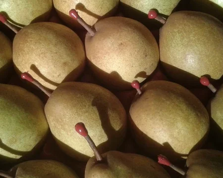 POIRE PASSE CRASSANNE