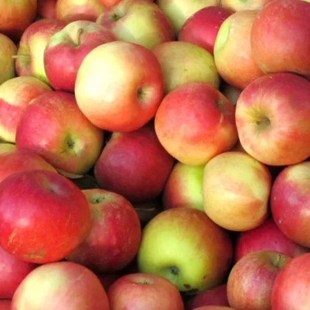 POMME DALINETTE 10KG