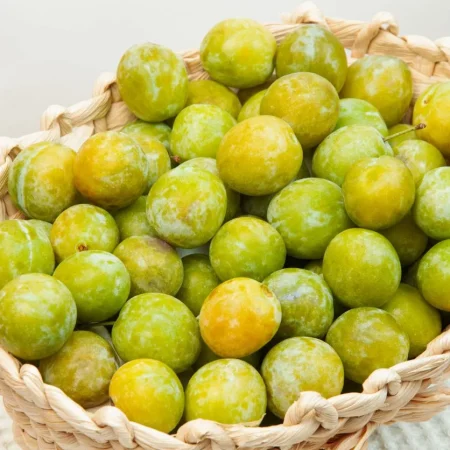 PRUNE MIRABELLE 5KG