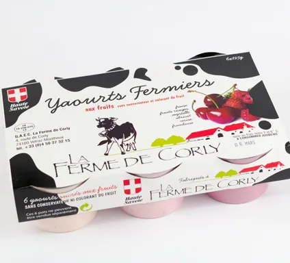 YAOURT FERMIER FRUITS x6