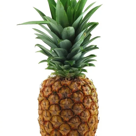 ANANAS AVION