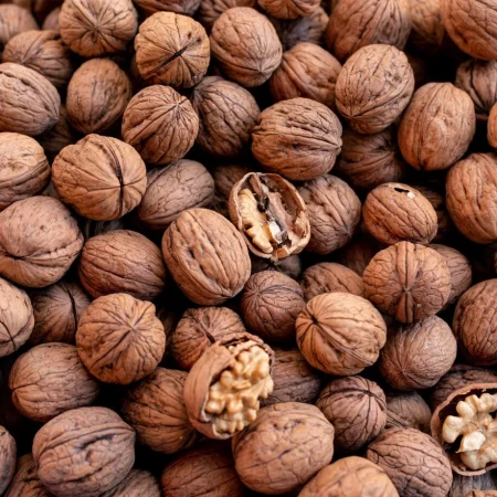 NOIX le filet de 1Kg