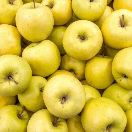 POMME GOLDOR de nos vergers