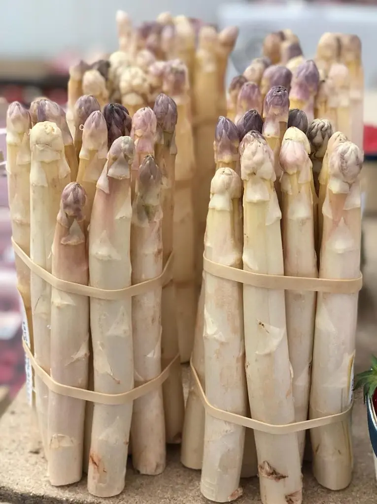 ASPERGE la botte de 1Kg