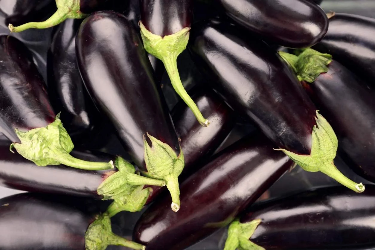AUBERGINE