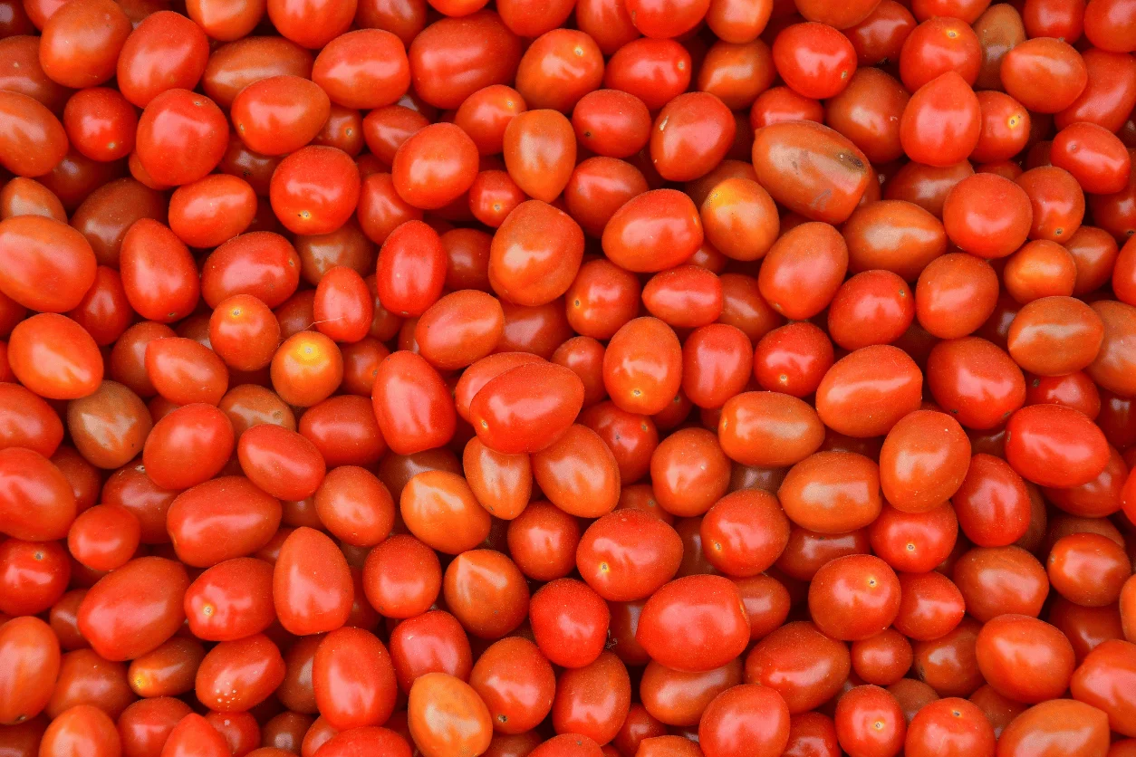 TOMATES CERISES EN FOLIE 1Kg