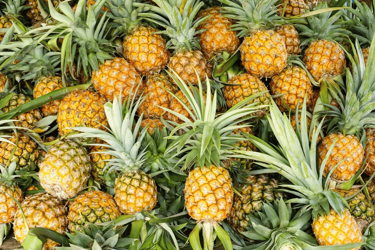 ANANAS AVION