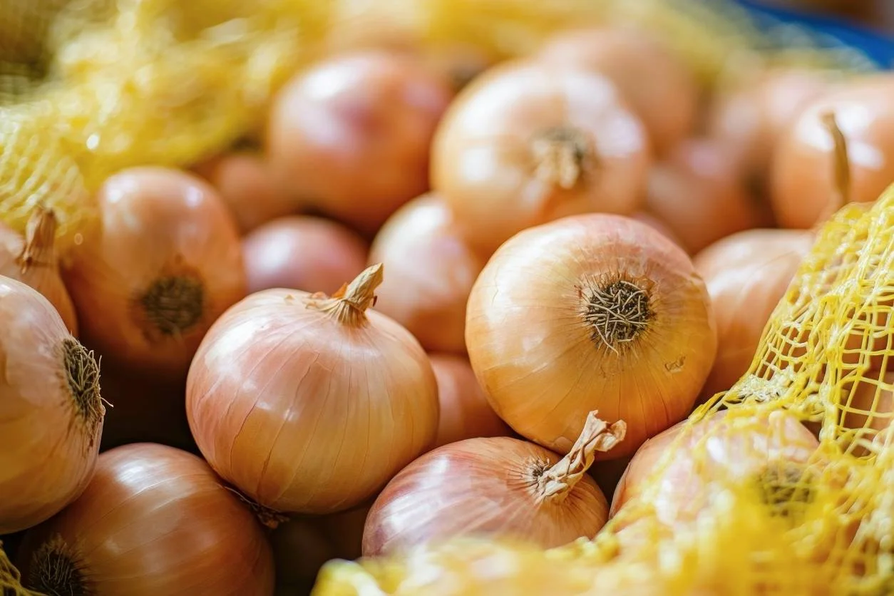 OIGNON JAUNE FILET 1KG