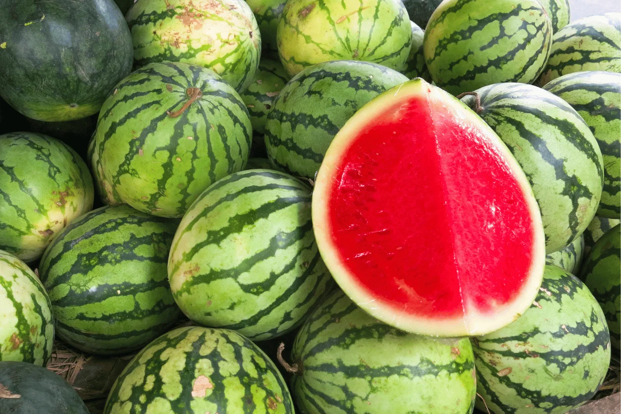 PASTEQUE SANS PEPINS