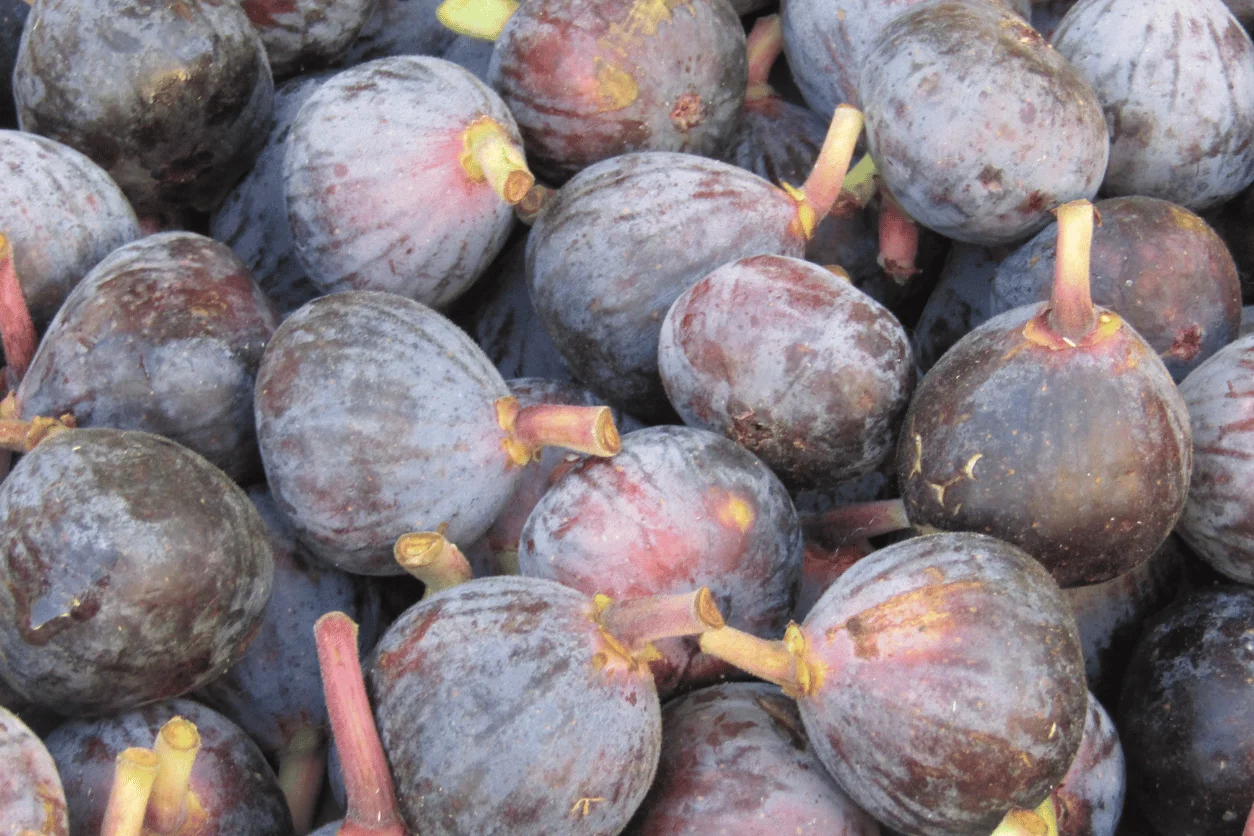 FIGUES FRAICHES BQ 500GR