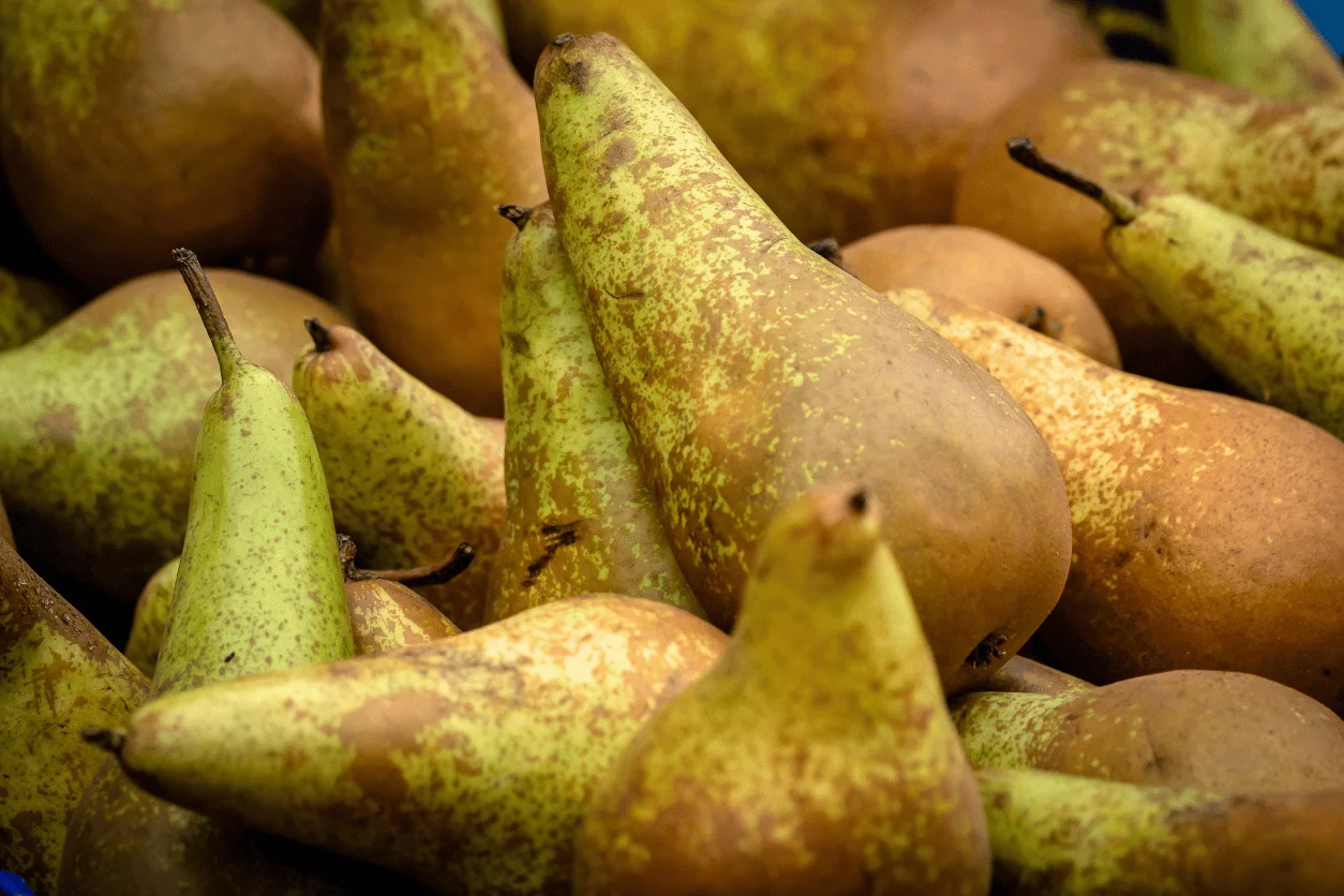 POIRE CONFERENCE de nos vergers