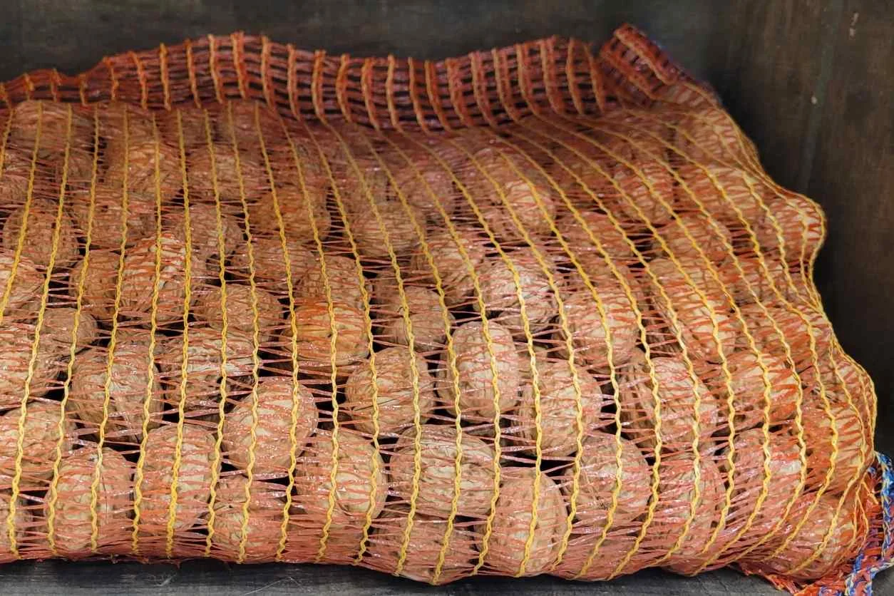 NOIX de Grenoble FILET 5KG