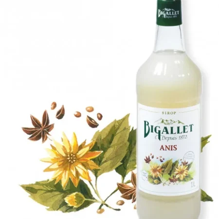 SIROP ANIS 1L