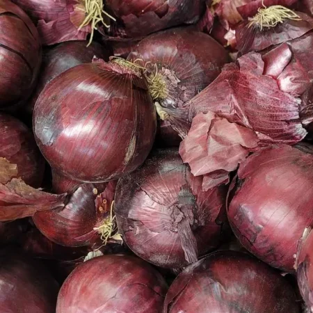 OIGNON ROUGE