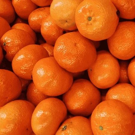 MANDARINE CLEMENVILLA