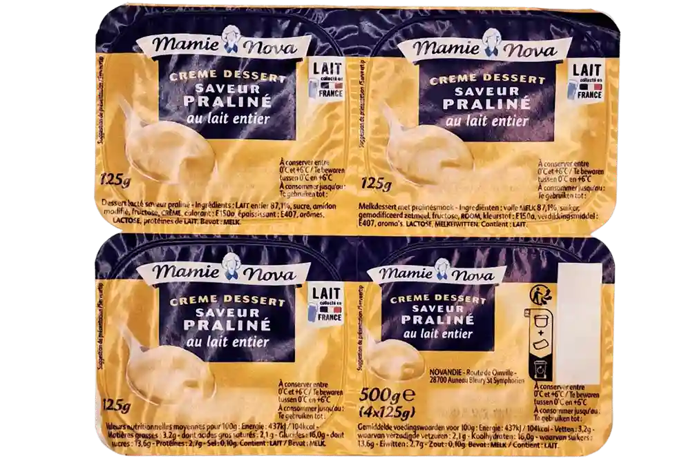 CREME DESSERT PRALINE X 4