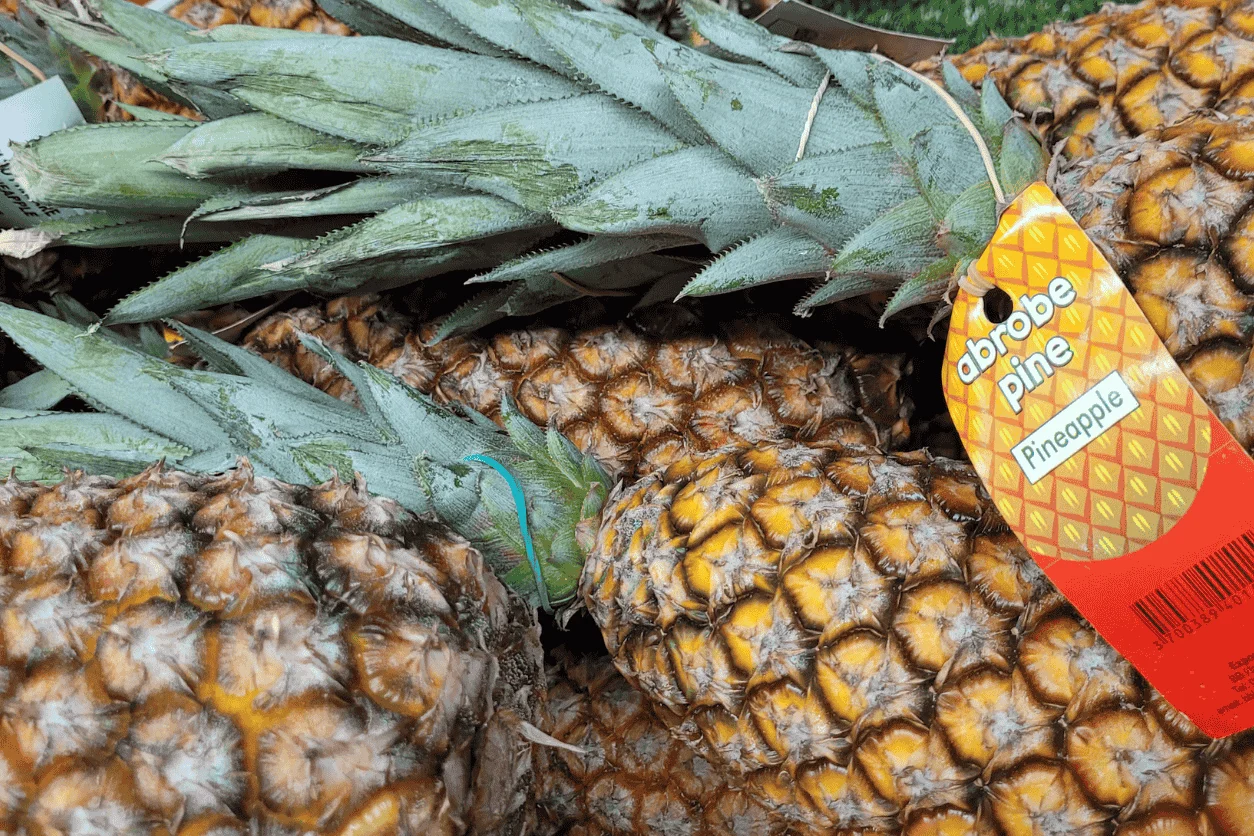 ANANAS PAIN DE SUCRE