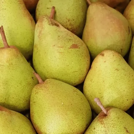 POIRE COMICE de nos vergers