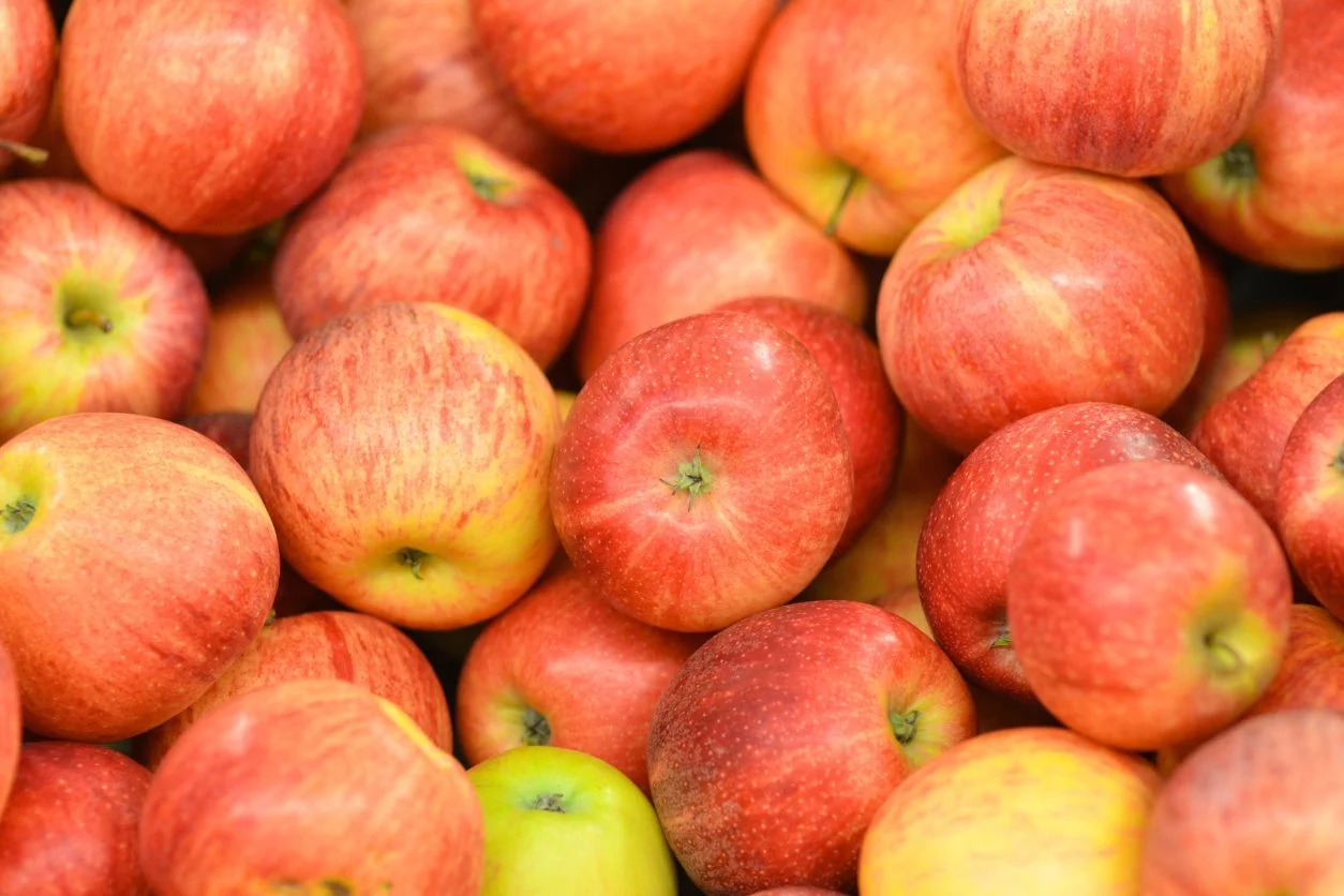 POMME REINE DES REINETTES