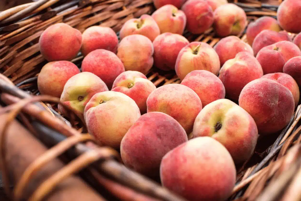 ABRICOT PANIER 1KG BERGEVAL