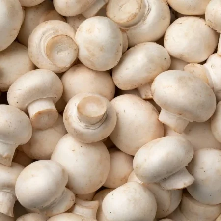 CHAMPIGNON BLANC BQ 250GR