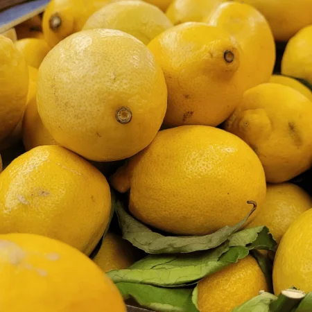 CITRON FEUILLE