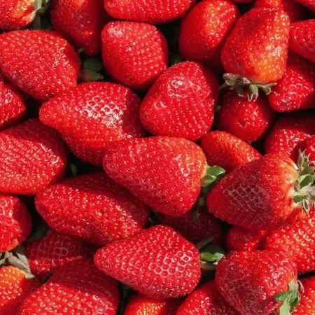 FRAISE 1KG